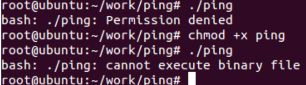 �޷�ִ��Ping�ļ�