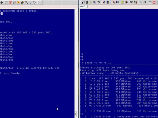 ����1000Mbps������
